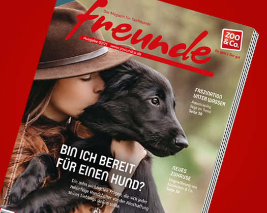 freunde-Magazin 03/2021